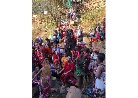 Buy Muthi at nearest Muthi shop muti shop ????+27788804343 traditional herbal shop near me Malume MU